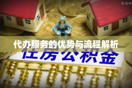 卑南代办服务的优势与流程解析