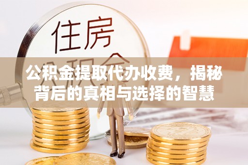 卑南公积金提取代办收费，揭秘背后的真相与选择的智慧