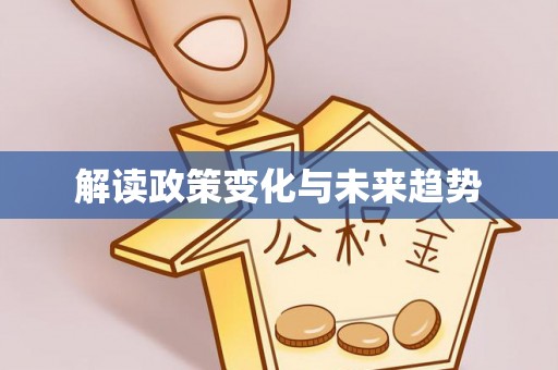 卑南解读政策变化与未来趋势