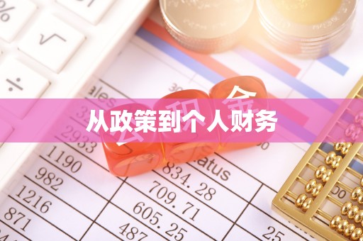 卑南从政策到个人财务