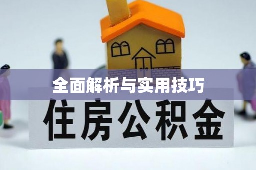 卑南全面解析与实用技巧