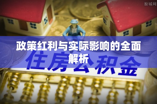 卑南政策红利与实际影响的全面解析