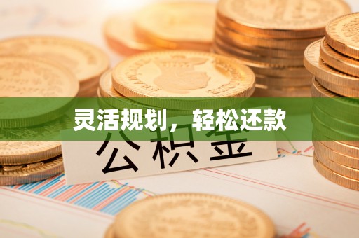 卑南灵活规划，轻松还款