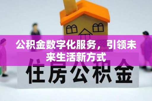 卑南公积金数字化服务，引领未来生活新方式
