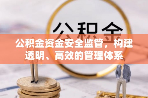 卑南公积金资金安全监管，构建透明、高效的管理体系