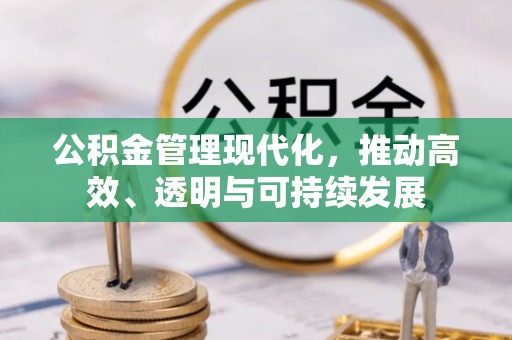 卑南公积金管理现代化，推动高效、透明与可持续发展