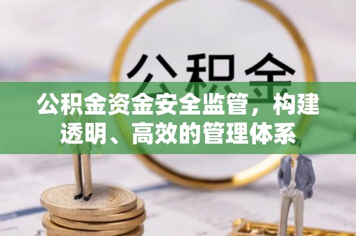 卑南公积金资金安全监管，构建透明、高效的管理体系