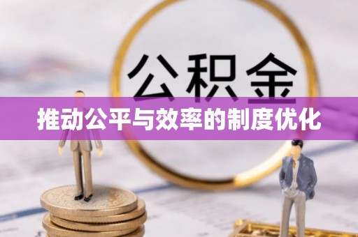 卑南推动公平与效率的制度优化
