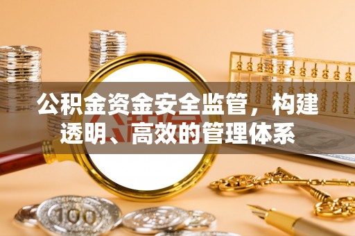 卑南公积金资金安全监管，构建透明、高效的管理体系
