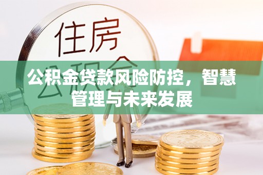 卑南公积金贷款风险防控，智慧管理与未来发展