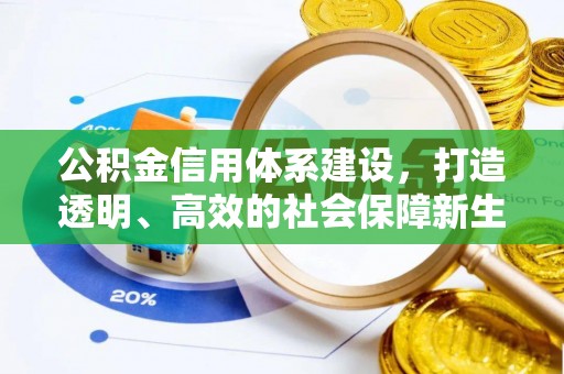 卑南公积金信用体系建设，打造透明、高效的社会保障新生态