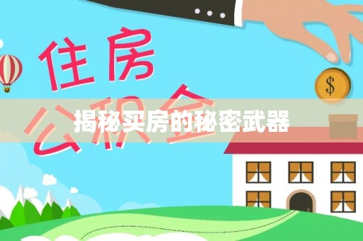 卑南揭秘买房的秘密武器