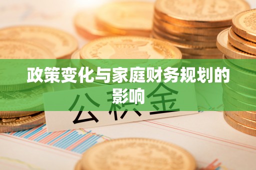 卑南政策变化与家庭财务规划的影响
