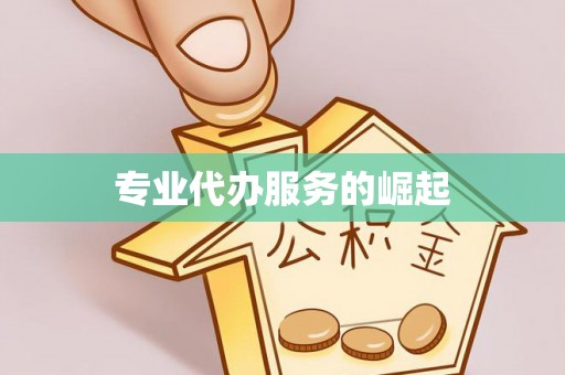 卑南专业代办服务的崛起