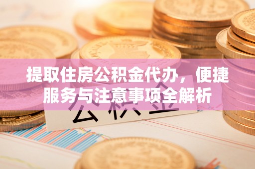 卑南提取住房公积金代办，便捷服务与注意事项全解析