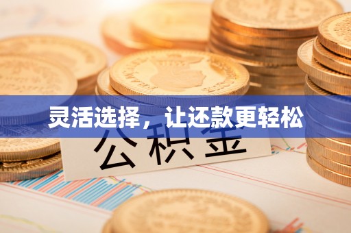 卑南灵活选择，让还款更轻松