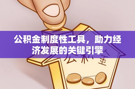 卑南公积金制度性工具，助力经济发展的关键引擎