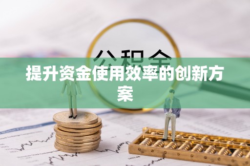 卑南提升资金使用效率的创新方案
