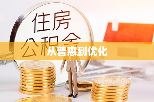 卑南从普惠到优化