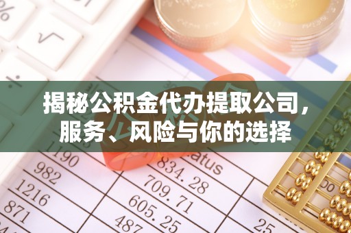 卑南揭秘公积金代办提取公司，服务、风险与你的选择