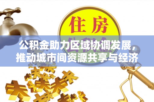 卑南公积金助力区域协调发展，推动城市间资源共享与经济均衡发展
