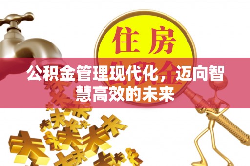 卑南公积金管理现代化，迈向智慧高效的未来