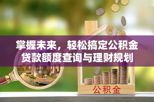 卑南掌握未来，轻松搞定公积金贷款额度查询与理财规划