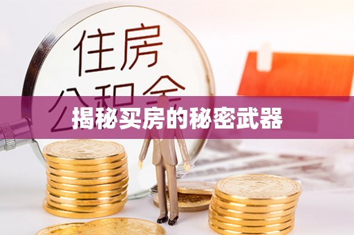 卑南揭秘买房的秘密武器