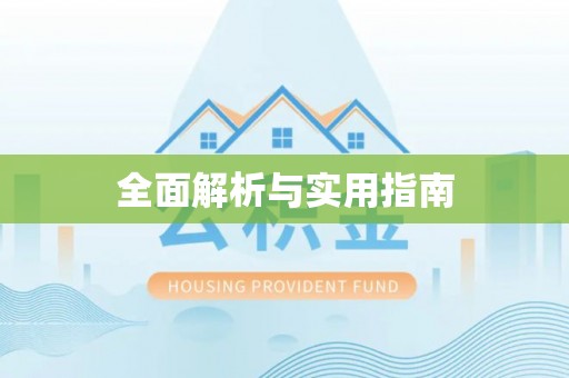 卑南全面解析与实用指南