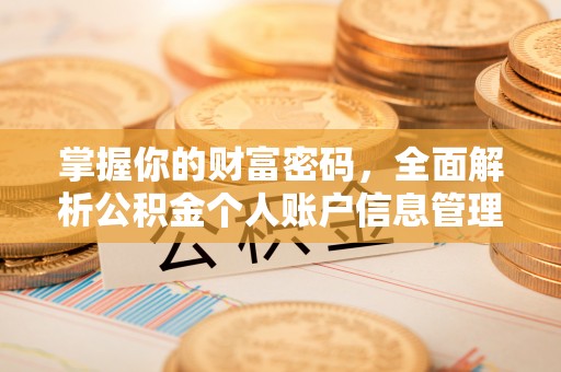 卑南掌握你的财富密码，全面解析公积金个人账户信息管理