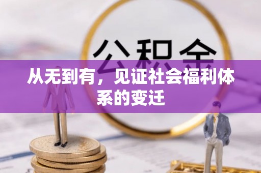 卑南从无到有，见证社会福利体系的变迁