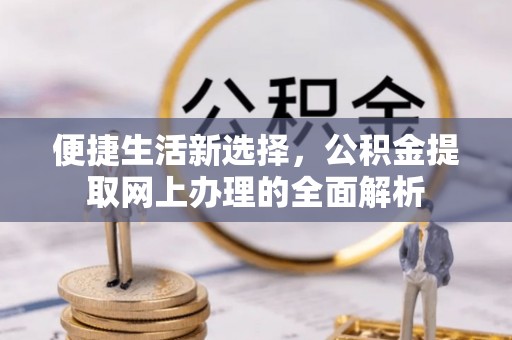卑南便捷生活新选择，公积金提取网上办理的全面解析