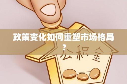 卑南政策变化如何重塑市场格局？