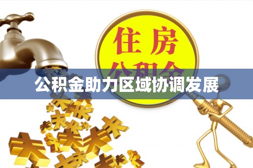 卑南公积金助力区域协调发展