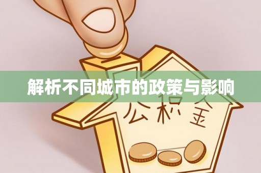 卑南解析不同城市的政策与影响