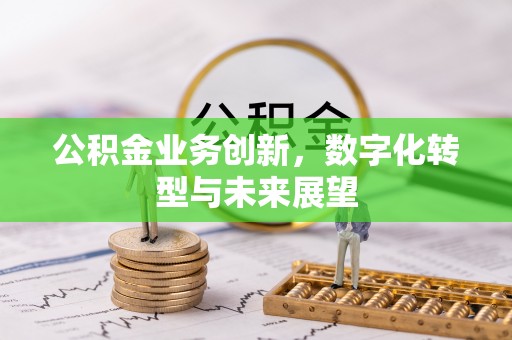 卑南公积金业务创新，数字化转型与未来展望