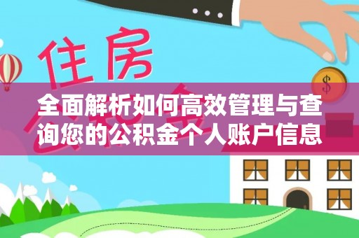 卑南全面解析如何高效管理与查询您的公积金个人账户信息