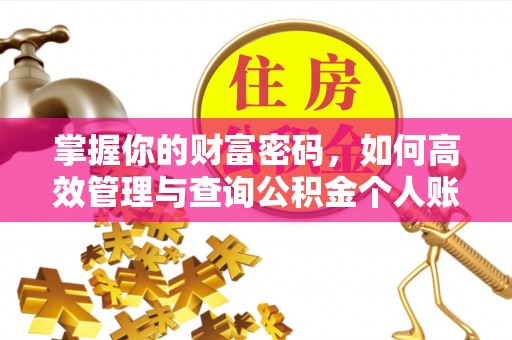 卑南掌握你的财富密码，如何高效管理与查询公积金个人账户信息