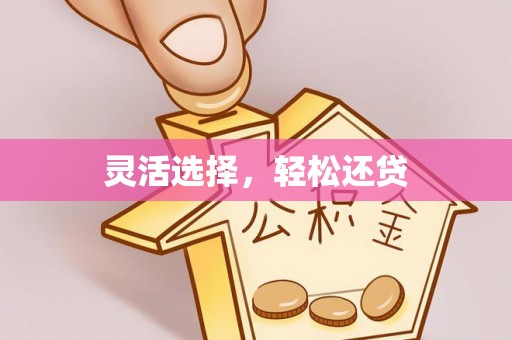 卑南灵活选择，轻松还贷