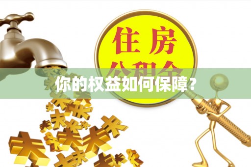 卑南你的权益如何保障？