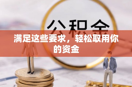 卑南满足这些要求，轻松取用你的资金