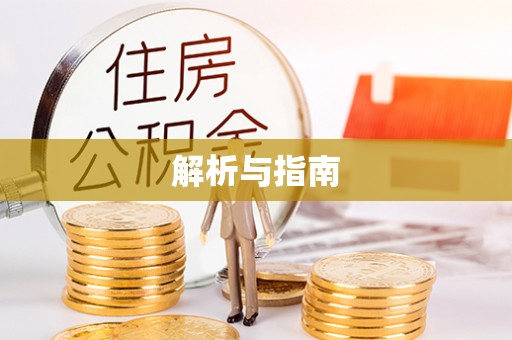 卑南解析与指南