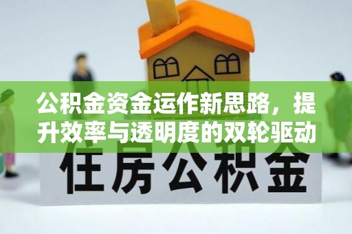 卑南公积金资金运作新思路，提升效率与透明度的双轮驱动