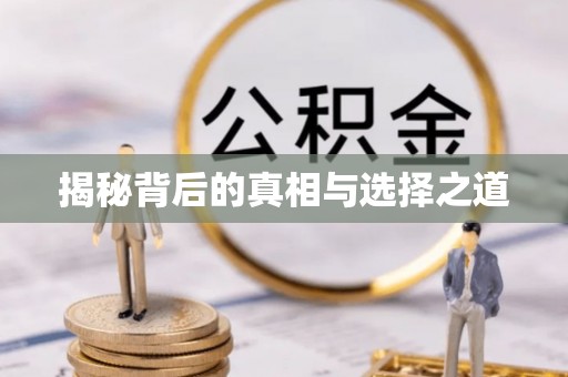 卑南揭秘背后的真相与选择之道