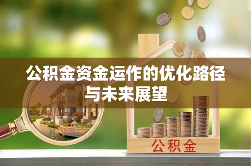 卑南公积金资金运作的优化路径与未来展望