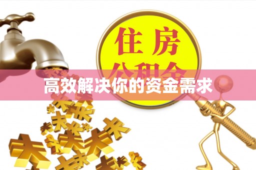 卑南高效解决你的资金需求
