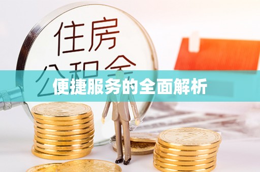 卑南便捷服务的全面解析