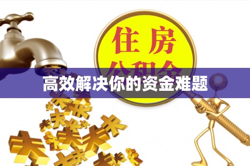 卑南高效解决你的资金难题