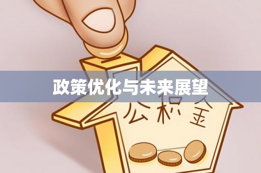 卑南政策优化与未来展望