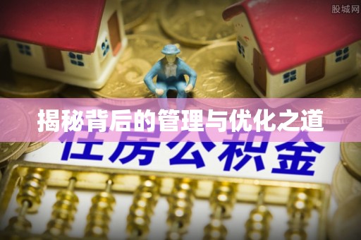 卑南揭秘背后的管理与优化之道